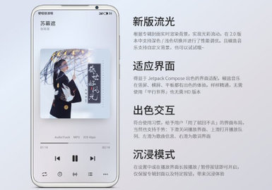 椒盐音乐车机版 10.6.0.1 安卓版 2