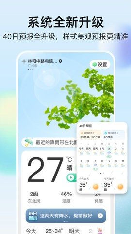 竹雨天气 1.0.0 安卓版 2