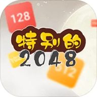 特别的2048