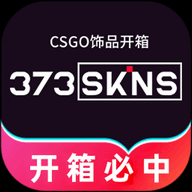 373Skins开箱网