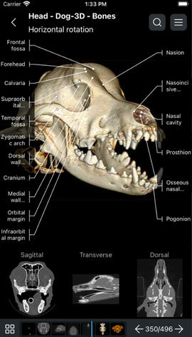 兽医解剖学 4.2.2 安卓版 2