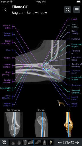 兽医解剖学软件vetanatomy 4.2.2 安卓版 1