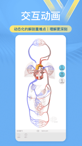 维萨里3D解剖教学 6.6.3 安卓版 1