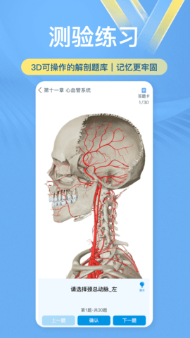 维萨里3D解剖教学 6.6.3 安卓版 3