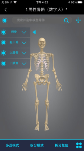 医维度人体解剖 3.3.12 安卓版 3