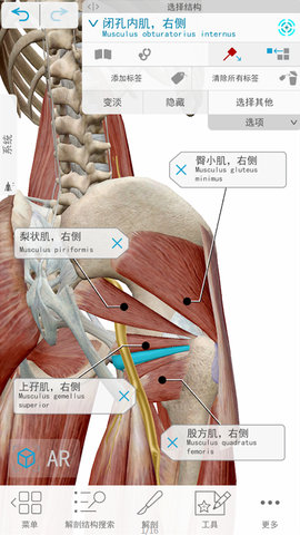 3D人体解剖 2.3 安卓版 1