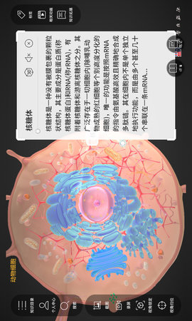 细胞生物学3D资源库系统 1.4.18 最新版 1