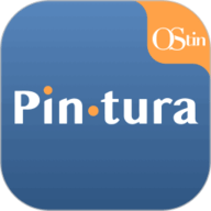 PinturaOStin