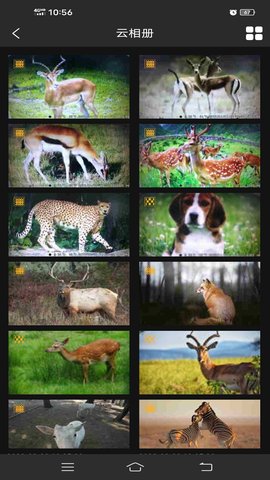 TrailCam_4G 1.6.3 安卓版 1