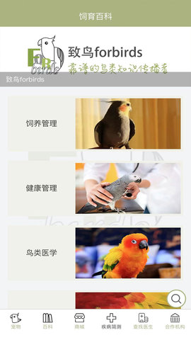 致鸟forbirds 1.1.6 安卓版 2