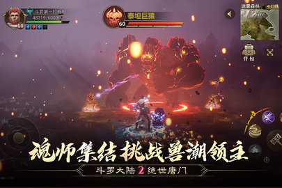 斗罗大陆2绝世唐门 1.1.9 安卓版 3