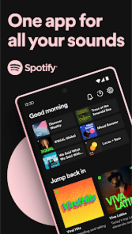 spotify 8.9.80.581 最新版 0