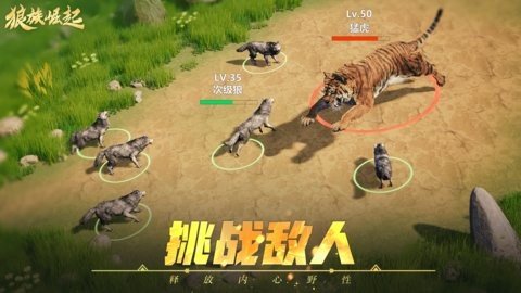 狼族崛起 1.0.35 安卓版 2