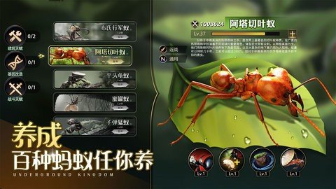 小小蚁国九游版 1.89.0 最新版 1