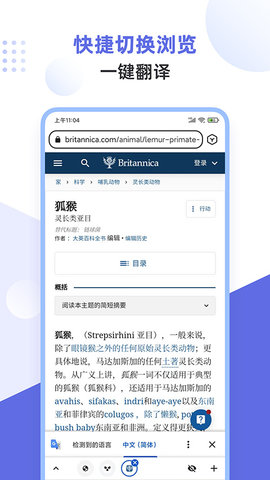 lemurbrowser 2.6.1.022 最新版 2