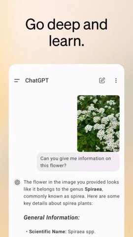 chatGPT中文版 1.2024.275  最新版 1