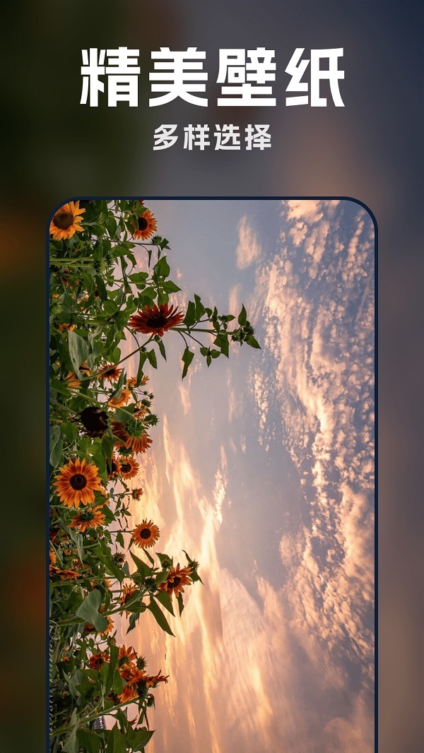 AI壁纸酷 1.0.0 安卓版 2